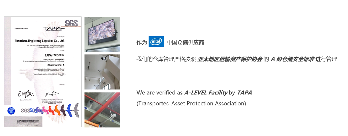 zhizi1.png